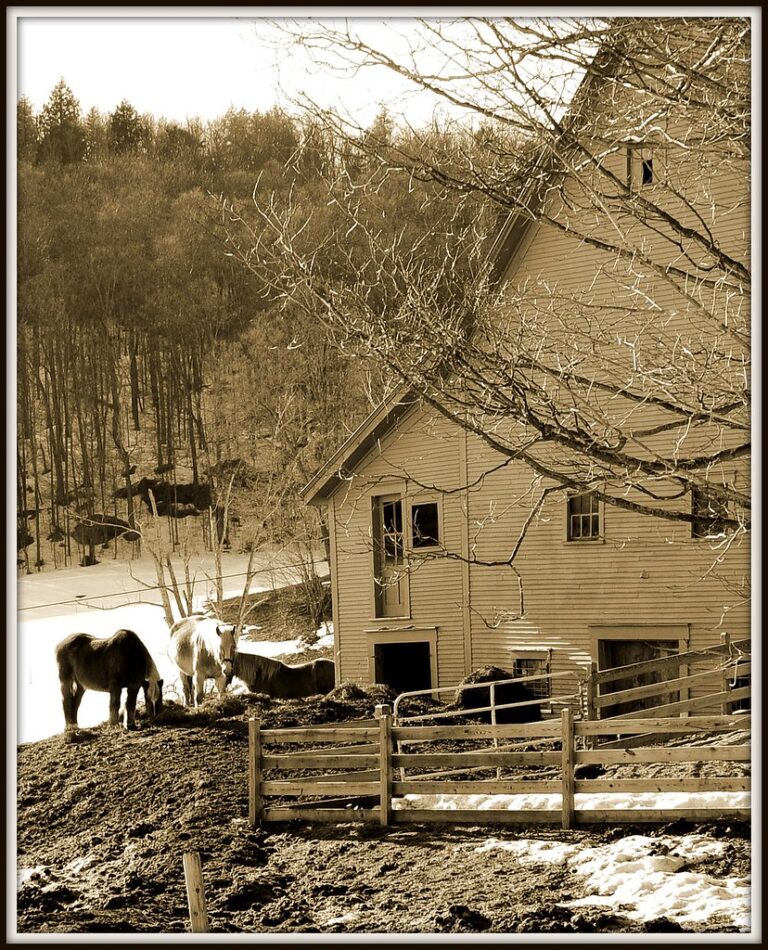 Rural Vermont